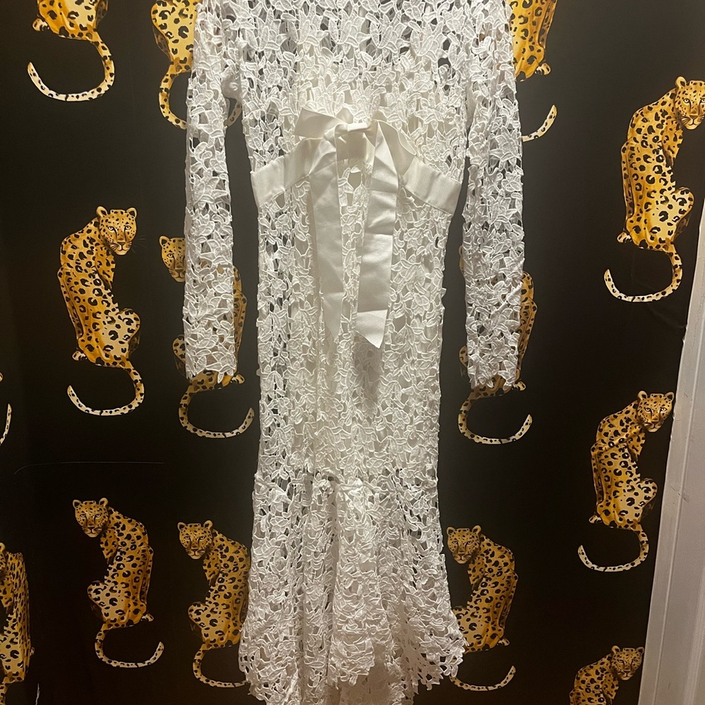 Chic Long Sleeve White Lace Dress - Picture 5 of 6